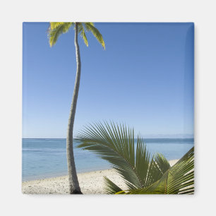 Imán Playa en la parte continental de Aitutaki, Islas C