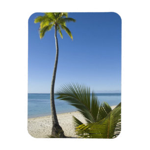 Imán Playa en la parte continental de Aitutaki, Islas C