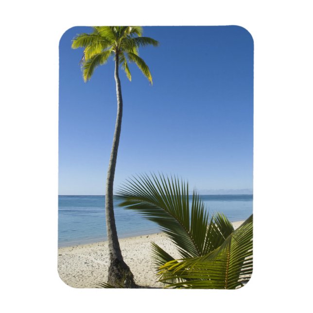 Imán Playa en la parte continental de Aitutaki, Islas C (Vertical)