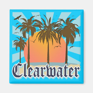 Imán Playa la Florida FLA de Clearwater