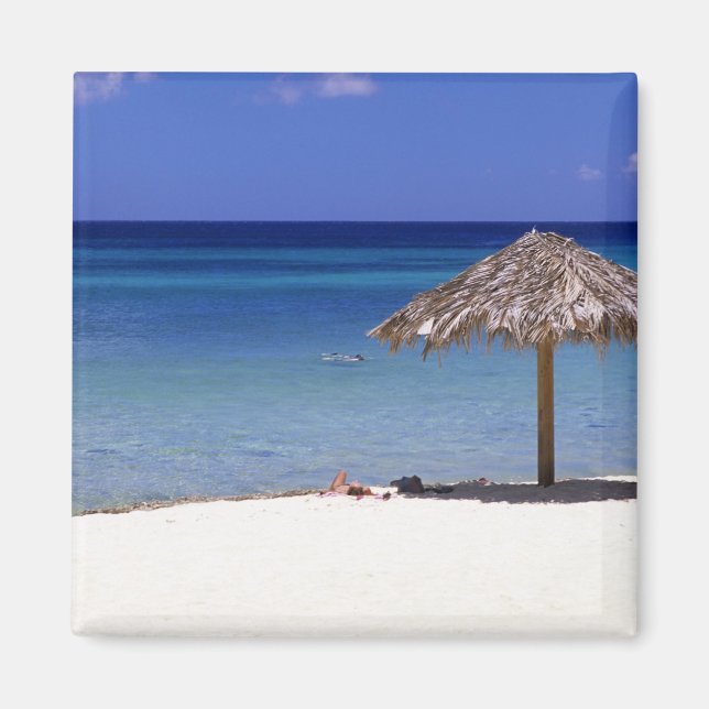 Imán Playa Malmok, Aruba, Antillas Neerlandesas (Frente)