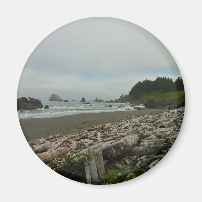 Imán Playa oculta I en el Parque Nacional Redwood (Frente)