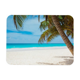 Imán Playa Paradisíaca Tropical