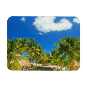 Imán Playa tropical, Belice