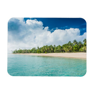 Imán Playa Tropical Con Palmeras