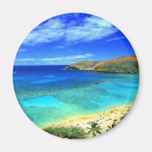 IMÁN PLAYA TROPICAL DESEARÍA ESTAR AQUÍ TARJETA POSTAL