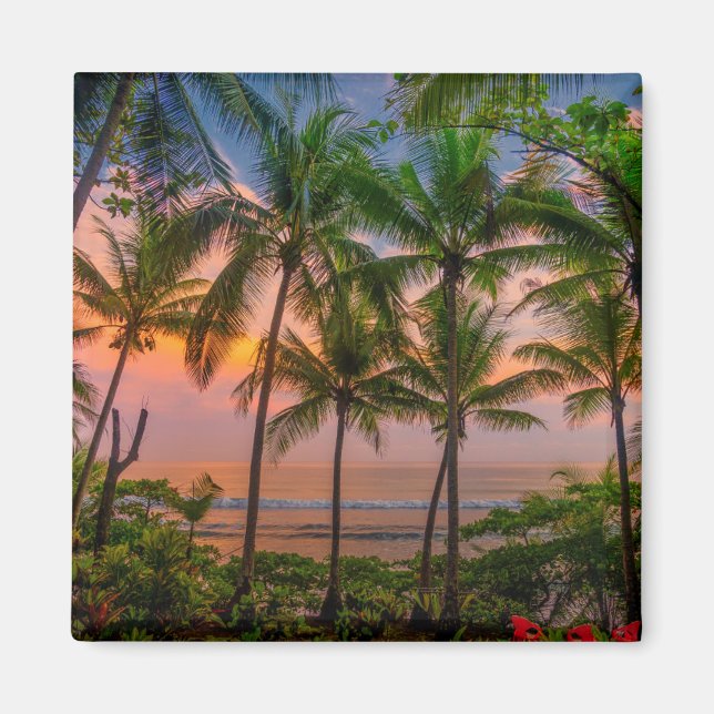 Imán Playa Tropical | Parque nacional Corcovado (Frente)