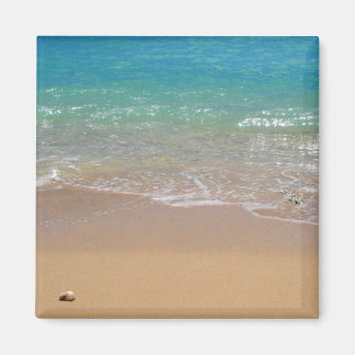 Imán Playa tropical: Waikiki, Oahu, Hawaii