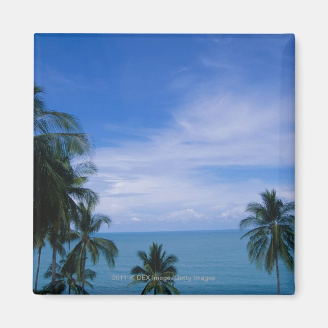 Imán Playa vibrante (Frente)