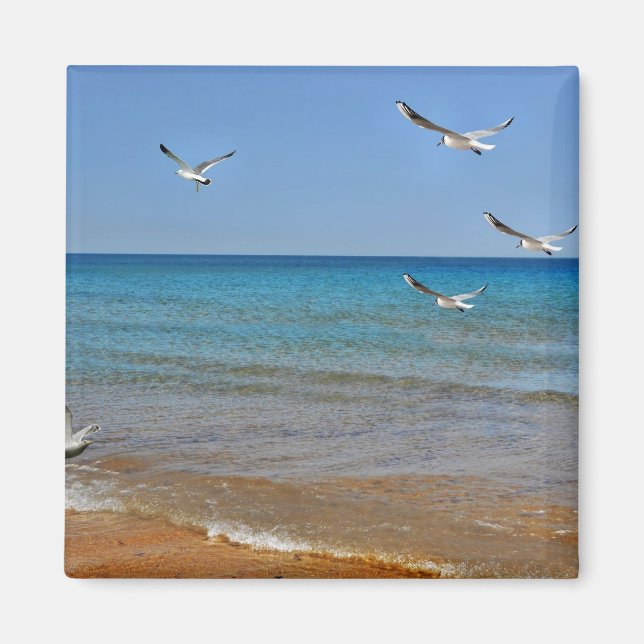 Imán Playa y gaviotas (Frente)