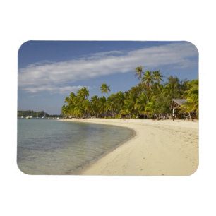 Imán Playa y palmeras, Plantation Island Resort