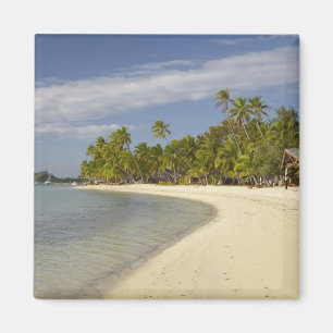 Imán Playa y palmeras, Plantation Island Resort