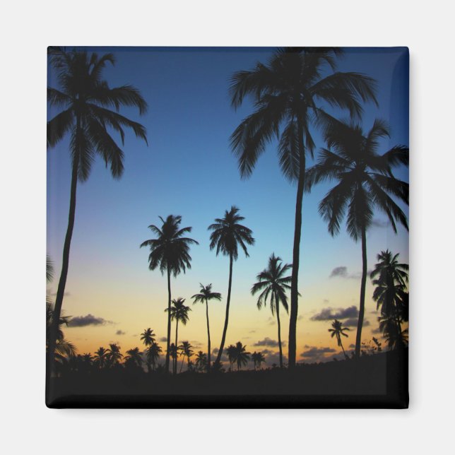 Imán Playa Y Pueblo Costero | Praia Do Forte (Frente)