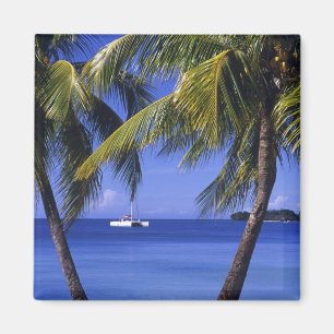 Imán Playas en Negril, Jamaica