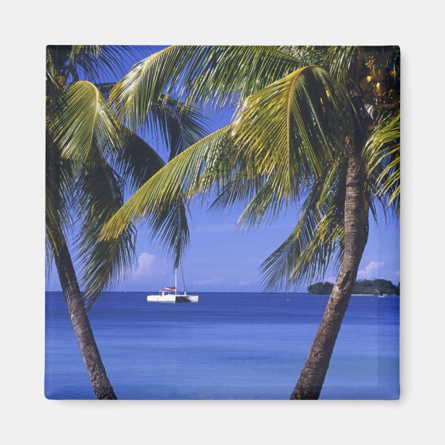 Imán Playas en Negril, Jamaica (Frente)