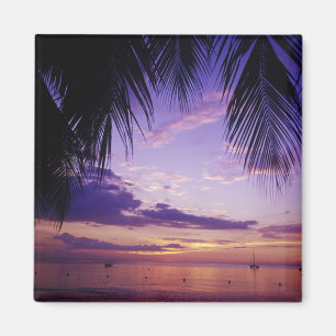 Imán Playas en Negril, Jamaica 2