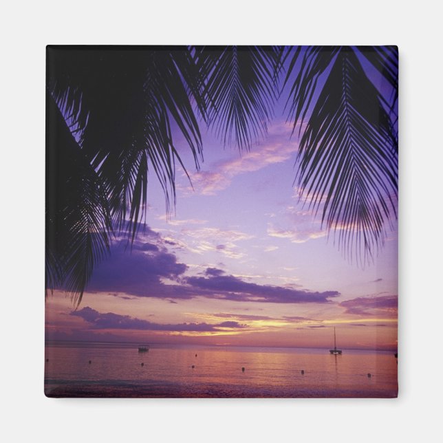 Imán Playas en Negril, Jamaica 2 (Frente)