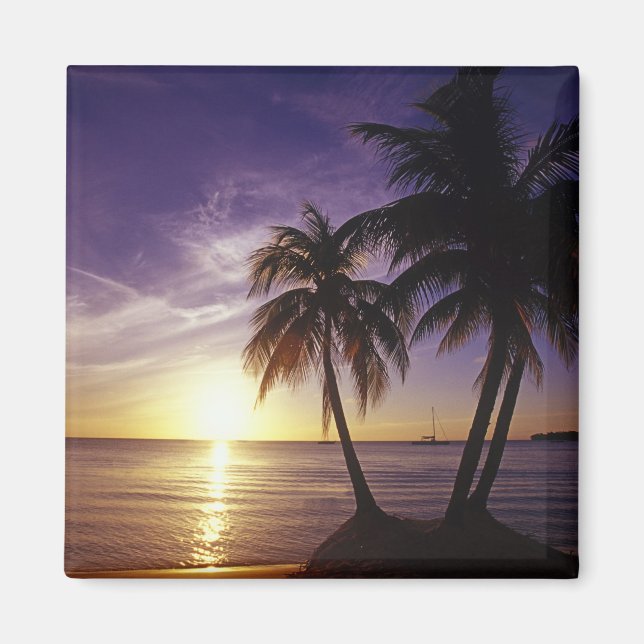 Imán Playas en Negril, Jamaica 3 (Frente)