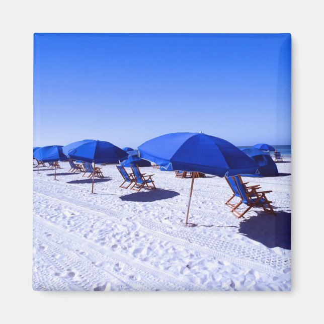 Imán Playas tropicales | Aguas de aclaración, Florida (Frente)
