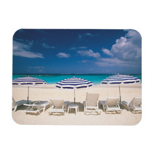 Imán Playas tropicales   Anguila Tropical Beach