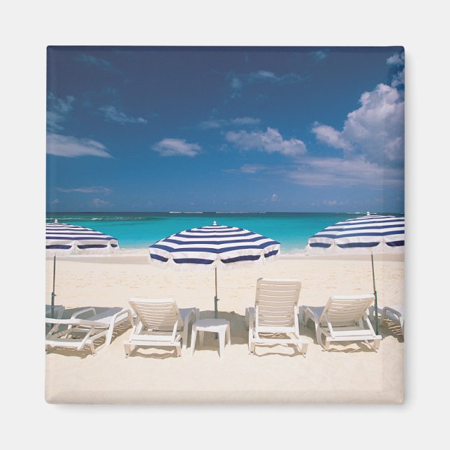 Imán Playas tropicales | Anguila Tropical Beach (Frente)