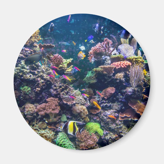 Imán Playas tropicales | Arrecife de coral subacuática (Frente)