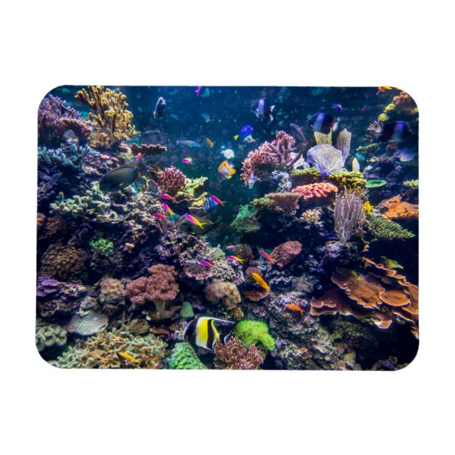 Imán Playas tropicales | Arrecife de coral subacuática (Horizontal)