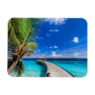 Imán Playas tropicales   Dusit Thani Maldives