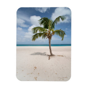 Imán Playas tropicales   Eagle Beach, Aruba