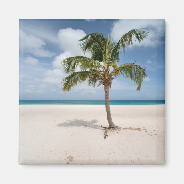 Imán Playas tropicales | Eagle Beach, Aruba (Frente)