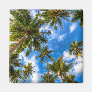 Imán Playas tropicales Palmeras en cielo azul