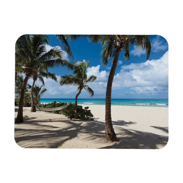 Imán Playas tropicales | Playa de Anguila, palmera (Horizontal)