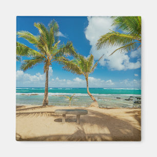 Imán Playas tropicales   Playa Kuau Cove, Maui Hawaii