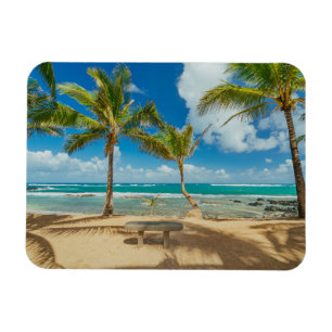 Imán Playas tropicales Playa Kuau Cove, Maui Hawaii