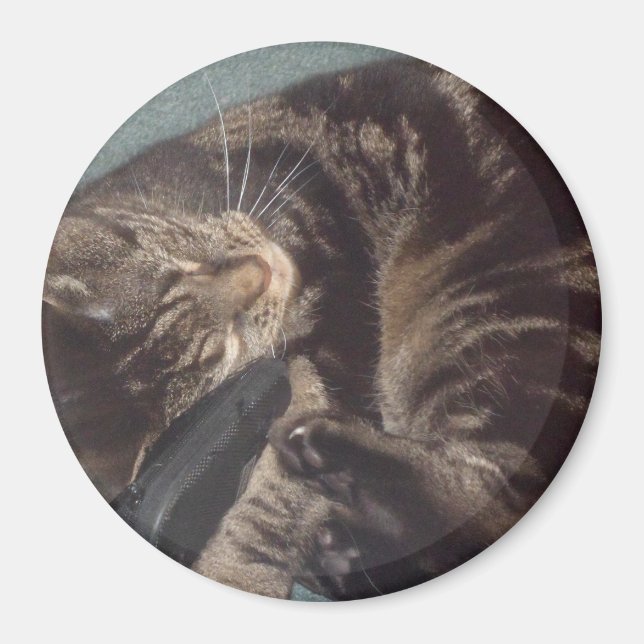 Imán Playous Dave Grande, 7.6 Cm Redondo Magnet (Frente)