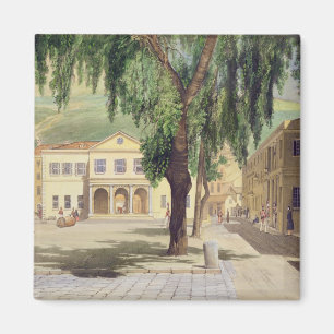 Imán Plaza comercial, Biblioteca comercial y