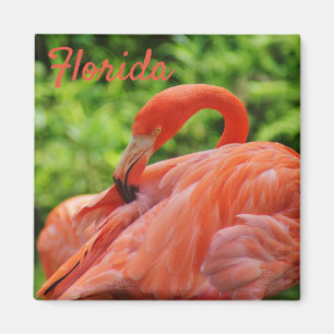 Imán Plaza del Magnet Flamingo de Florida