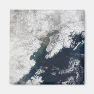 Imán Pluma de ceniza del Monte Reduda, Alaska