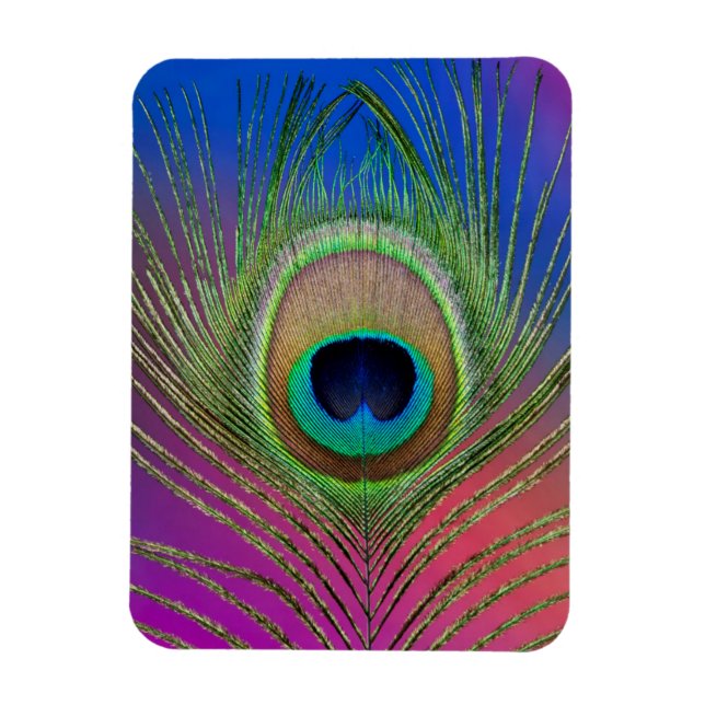 Imán Pluma de cola de un pavo real (Vertical)