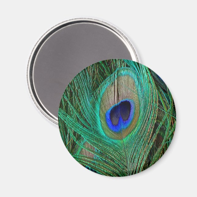 Imán Pluma de Pavo Real Azul Indio (Anverso/Reverso)