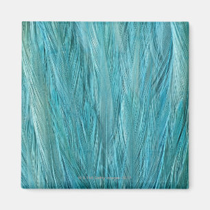 Imán Plumas azules