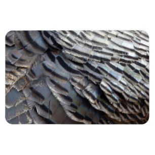 Imán Plumas de pavo silvestre II Diseño abstracto de la
