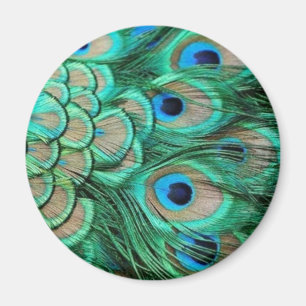 IMÁN PLUMAS DEL PAVO REAL