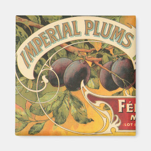 Imán Plumas imperiales