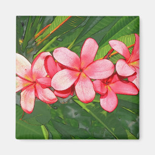 Imán Plumeria