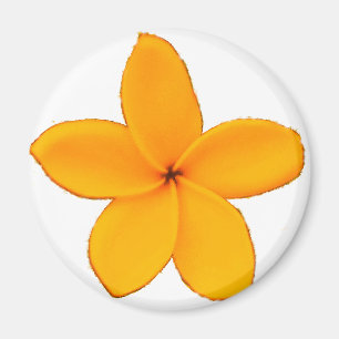 Imán Plumeria