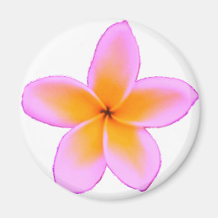 Imán Plumeria
