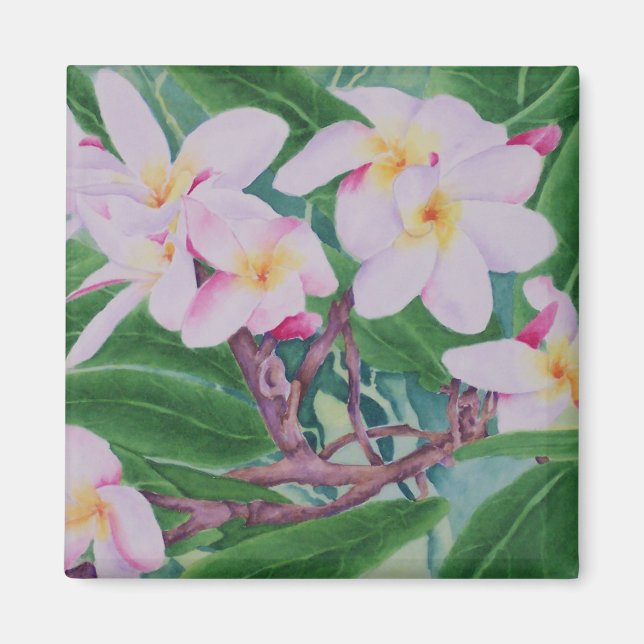 Imán Plumeria Magnet (Frente)