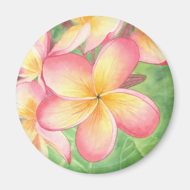 Imán Plumeria Magnet (Frente)