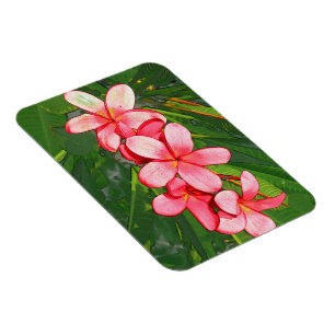 Imán Plumerias